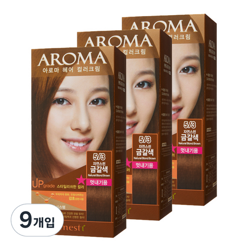 에네스티 아로마 염모제 멋내기용, 5/3 자연스런 금갈색, 9개