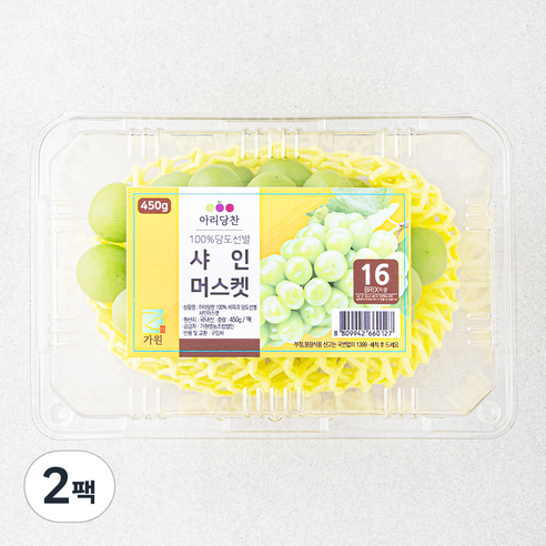 아리당찬 비파괴 당도선별 샤인머스켓, 450g, 2팩