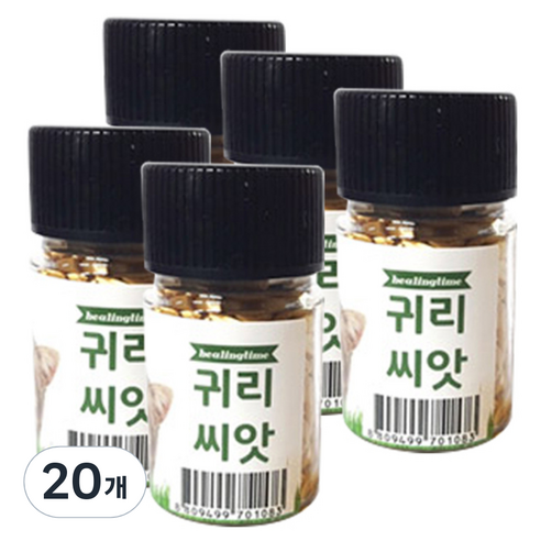 힐링타임 캣그라스 씨앗, 귀리, 20개