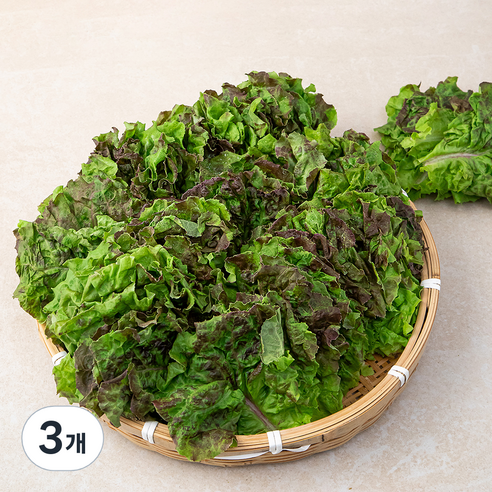 적상추 국내산, 1kg, 3개