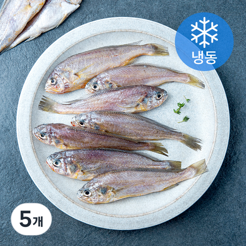 아라장 여수 참조기 10미 (냉동), 5개, 500g