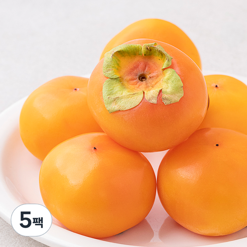 다조은 청도반시, 750g(5~6입), 5팩