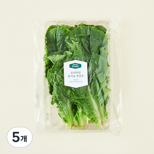 프리미엄 유기농 청상추, 120g, 5개