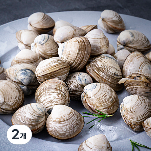 단디프레시 직접 손으로 채취한 서해안 갯벌 동죽조개, 1kg, 2개