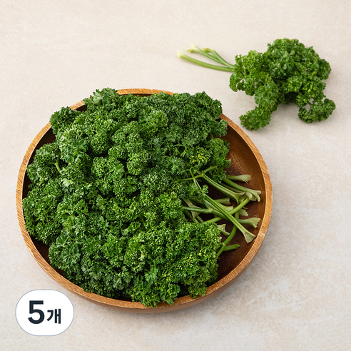 파슬리 국내산, 500g, 5개