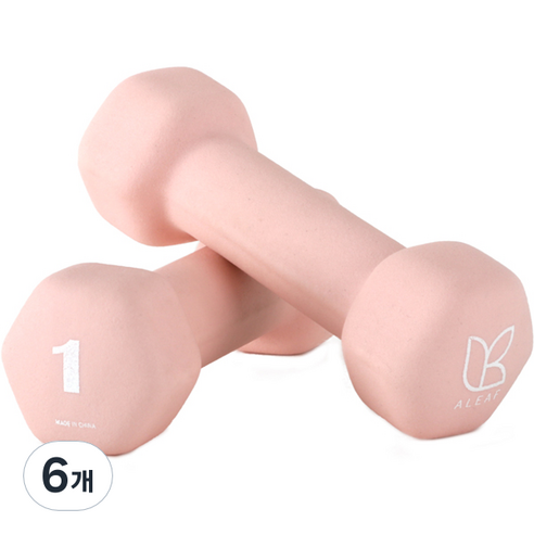 아리프 네오프렌 선인장 아령, 1kg, 6개