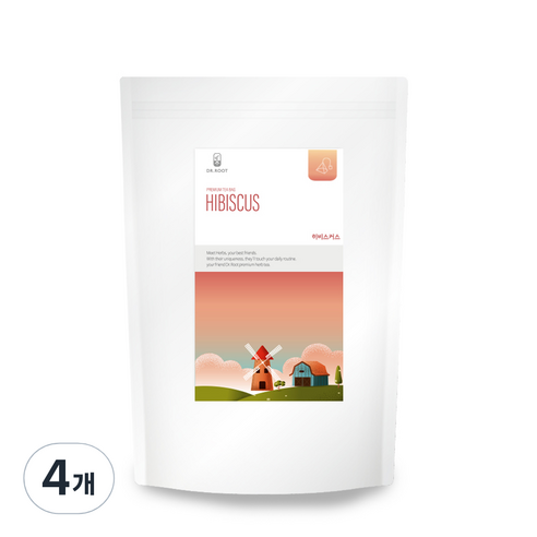 닥터루트 히비스커스차 삼각티백, 1.2g, 100개입, 4개
