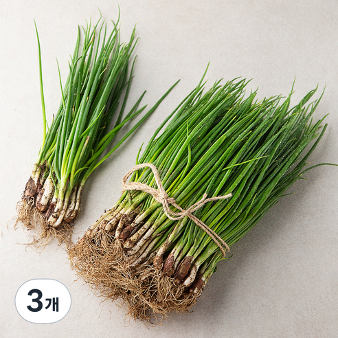 국내산 흙쪽파, 1kg, 3개