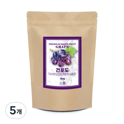 견과공장 건포도, 500g, 5개