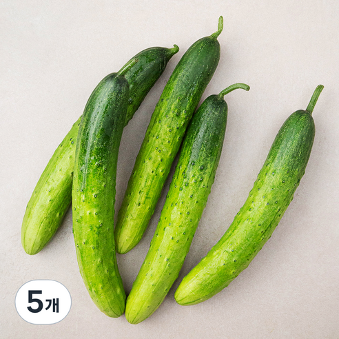 국내산 친환경 오이, 5개입, 5개