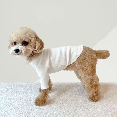 伴侶  寵物產品  小狗  貓  組合使用  服裝  T卹  狗  狗  狗