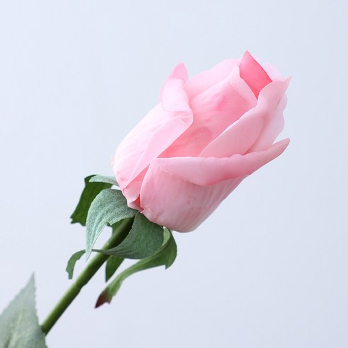 園藝用品 園藝 花卉 人造花 園藝 用品