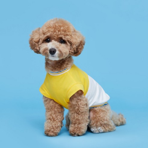 플로트 강아지 블록 민소매 티셔츠, 옐로우