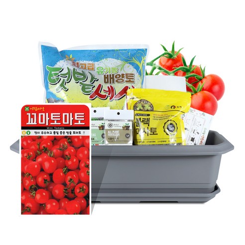 바이오필리아 채소 텃밭세트 + 식물 이름표 랜덤발송, 꼬마 토마토