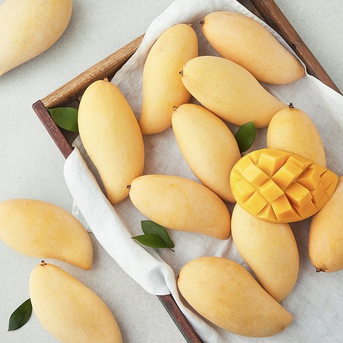 황홀한 달콤함, 이웃마을 남독마이 망고의 특별한 미식 경험