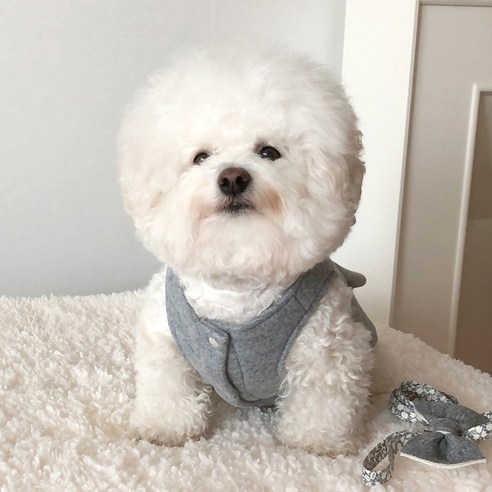 강아지 리본 하네스 원피스, 그레이