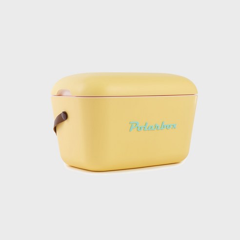 폴라박스 클래식 캠핑쿨러 피크닉백 박스, 레몬에이드, 20L