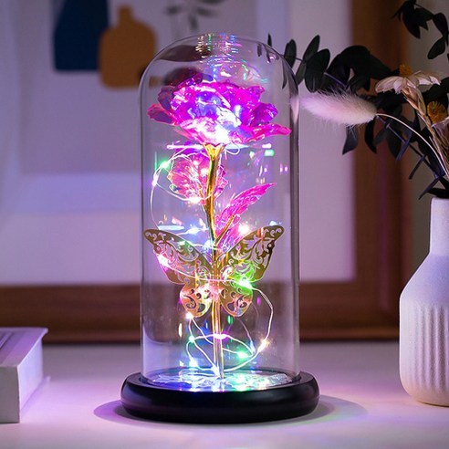 히즈플랜 LED 장미 무드등, E타입