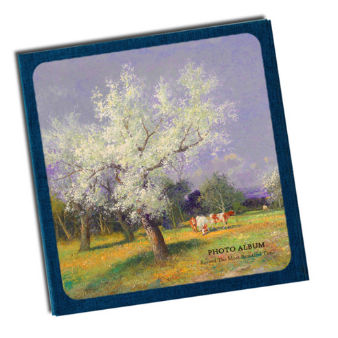스타 모던 레트로 포켓식 포토 앨범 23 x 24 cm, type 04 화이트, 20매