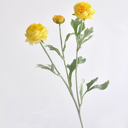 주앤지 인테리어 모란꽃 조화 52cm 3p, 옐로우