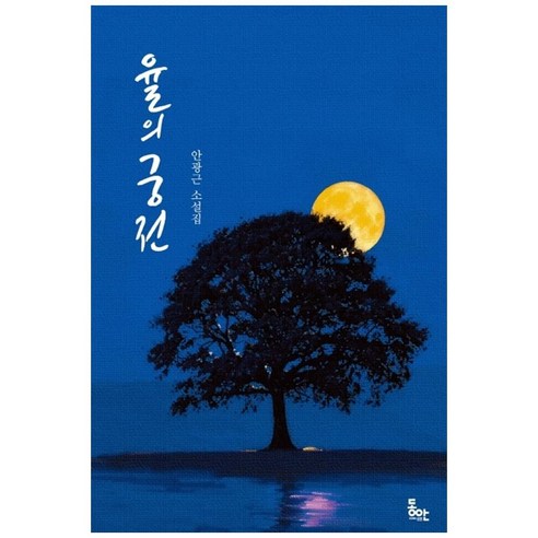 율의 궁전:안광근 소설집, 동안, 안광근