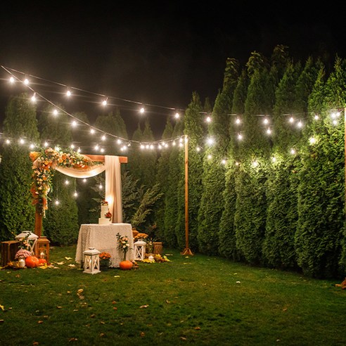 따스한 빛으로 물들이는 공간, 스트링월드 스트링 라이트