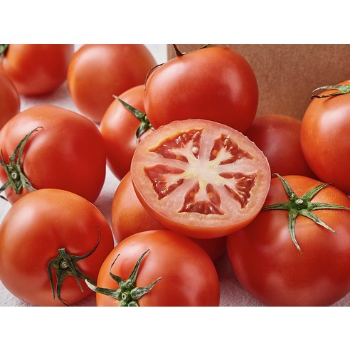 매일 밥상에 행복을 더하는 완숙 토마토