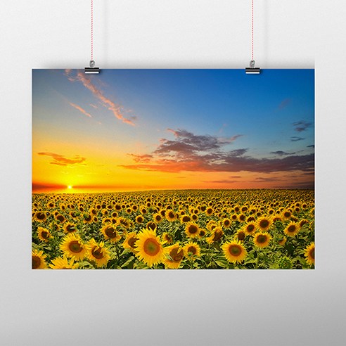 더 아트컴퍼니 풍수그림 8 노을빛 해바라기밭