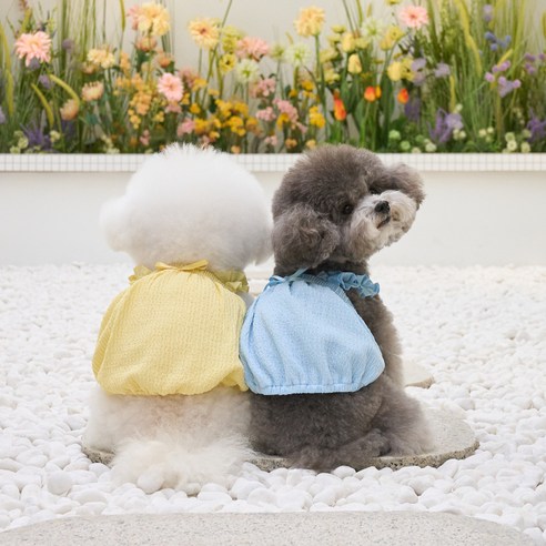 伴侶  寵物產品  小狗  貓  組合使用  服裝  T卹  狗  狗  狗