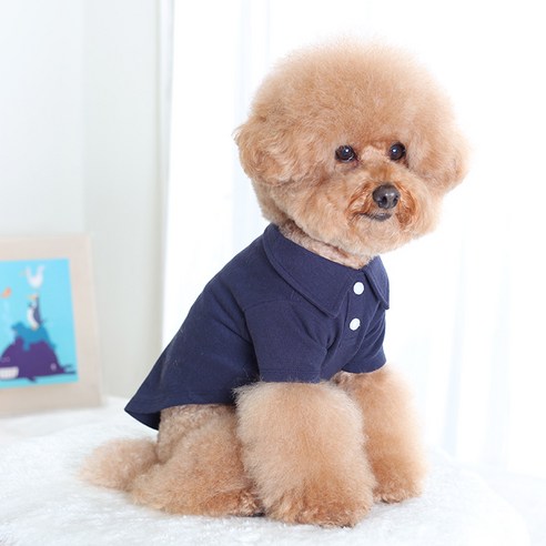 伴侶  寵物產品  小狗  貓  組合使用  服裝  T卹  狗  狗  狗