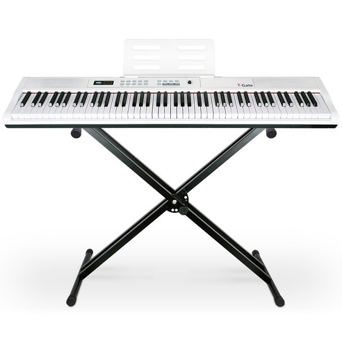 스타일을 완성하는데 필요한 전자피아노88건반 아이템을 만나보세요. 토이게이트 루드비히 88건반 디지털 피아노: 포괄적인 가이드
