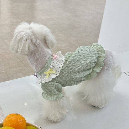 칠시 강아지 리플 원피스, 민트