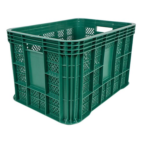 싱싱함과 편리함을 한 번에! 만능 수납 그린 박스