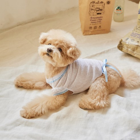 베니즈 반려동물 마카롱 크롭 티셔츠, 화이트