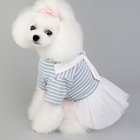 MING 강아지 고양이 X리본 치마, 스카이
