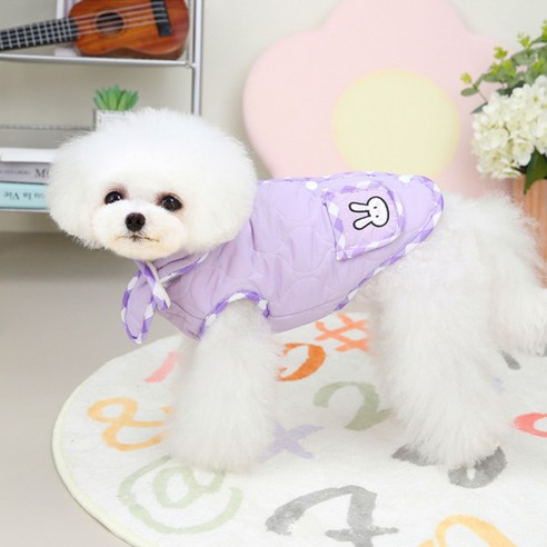 伴侶  寵物產品  小狗  貓  聯合使用  服裝  狗  狗  狗  狗
