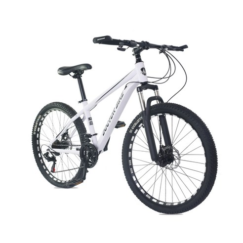 도시 정복을 위한 전기 자전거 혁명