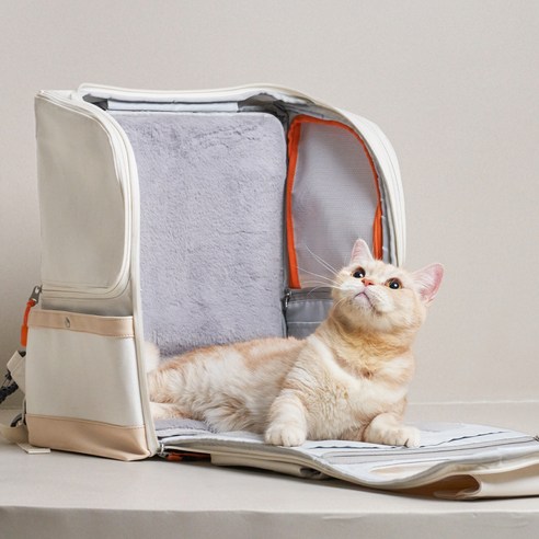 반려동물의 안전과 편안함을 동시에 제공하는 이동장용 포근패드