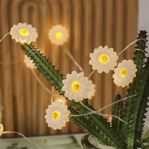 쿼르디 LED 인테리어 USB 줄전구 20구 2m, 해바라기 화이트