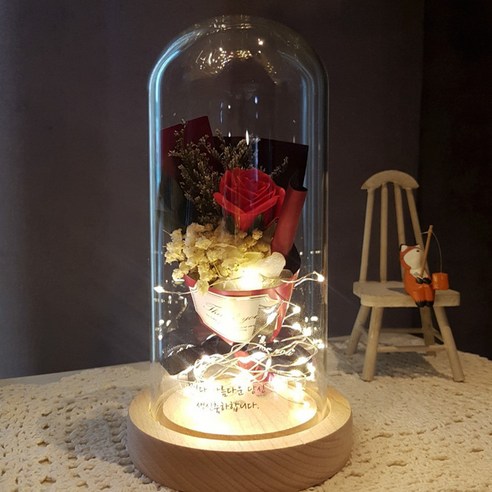 디엔에프컴퍼니 미니꽃다발 장미유리돔 무드등, 레드