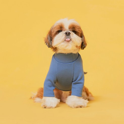 플로트 강아지 베이직 하프넥 티셔츠, 블루