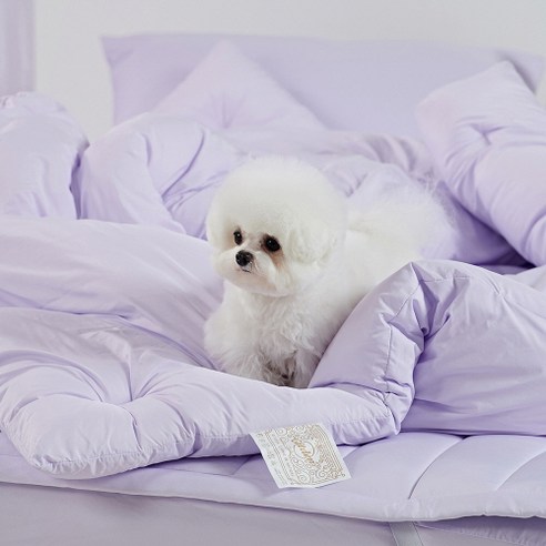 깃든 반려동물과 함께쓰는 털 안붙는 알러지케어 차렵이불: 편안한 수면, 행복한 동반자