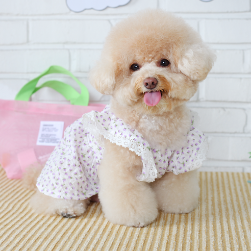 에이미러브즈펫 강아지 JJ 잔꽃 지지미 원피스, 퍼플