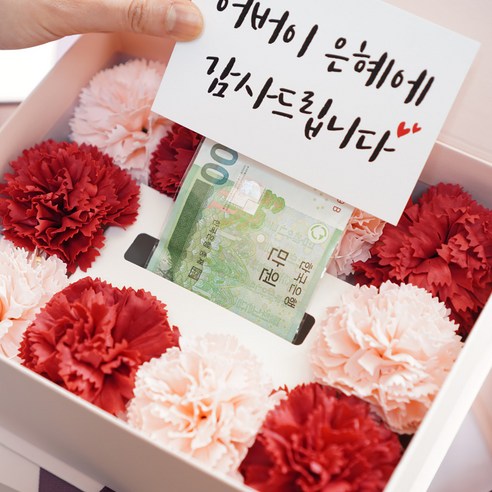 젊은마켓 비누꽃 반전 용돈박스 + LED 무드등 + 필름봉투 50p + 쇼핑백 + 메시지 카드 5종 세트, 레드핑크, 1개