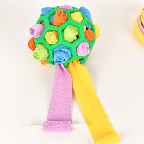 강아지의 건강한 놀이를 위한 최고의 선택