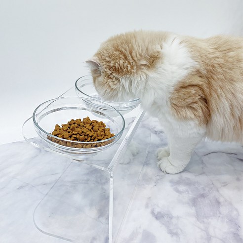 링펫 강아지 고양이 아크릴 유리 식기 2구, 1개, 투명