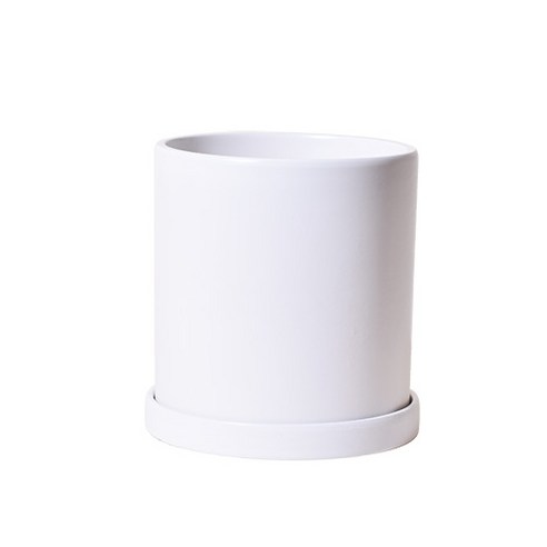 우리 집 식물, 카페처럼 분위기 있게 만들어 줄 화분 찾고 있다면? 도자기화분