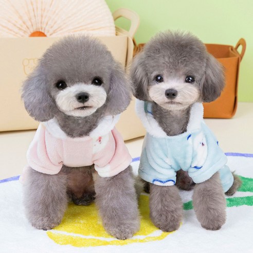 伴侶 寵物用品 小狗 貓 組合使用 服裝 多合一 狗 狗 狗