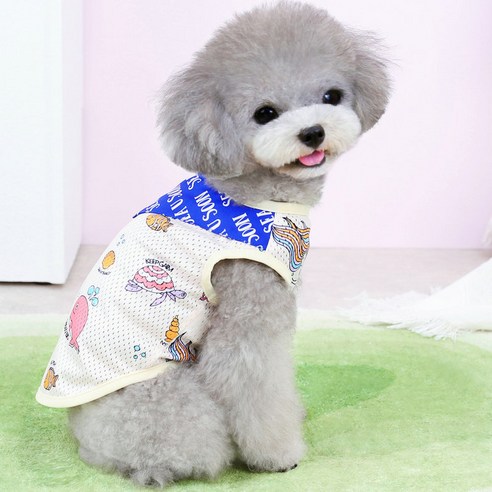 伴侶  寵物產品  小狗  貓  組合使用  服裝  T卹  狗  狗  狗