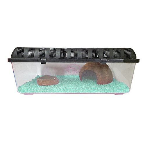 로라펫 소라 키우기 세트 컬러스톤 바닥재 사육장 4호, 랜덤발송(바닥재), 1세트